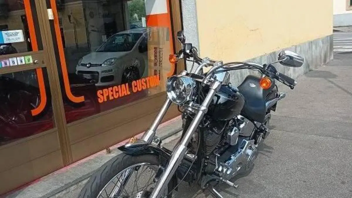 Harley-Davidson 1450 Deuce (2001 - 05) - FXSTDI  (2)