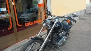 Harley-Davidson 1450 Deuce (2001 - 05) - FXSTDI  (2)