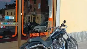 Harley-Davidson 1450 Deuce (2001 - 05) - FXSTDI  (7)