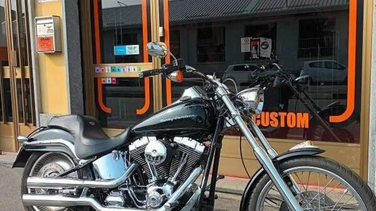 Harley-Davidson 1450 Deuce (2001 - 05) - FXSTDI  (8)