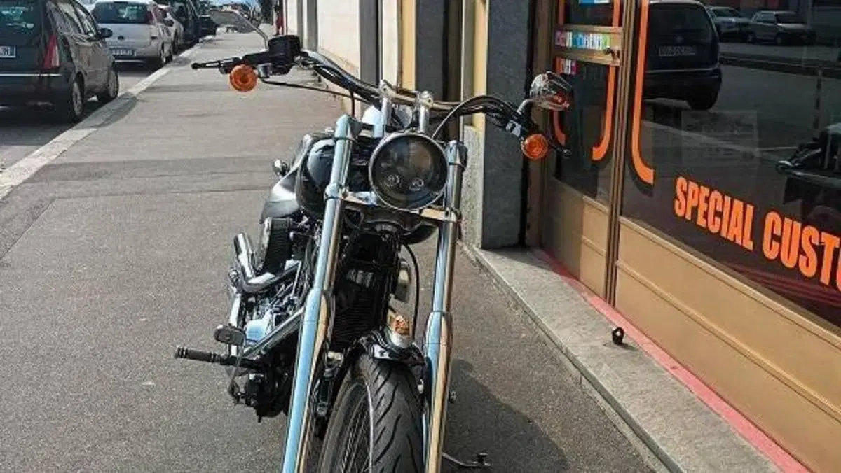 Harley-Davidson 1450 Deuce (2001 - 05) - FXSTDI  (11)