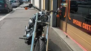 Harley-Davidson 1450 Deuce (2001 - 05) - FXSTDI  (11)