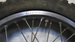 Betamotor   (3)