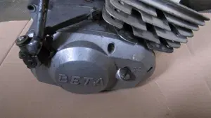 Betamotor   (7)