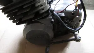 Betamotor   (8)