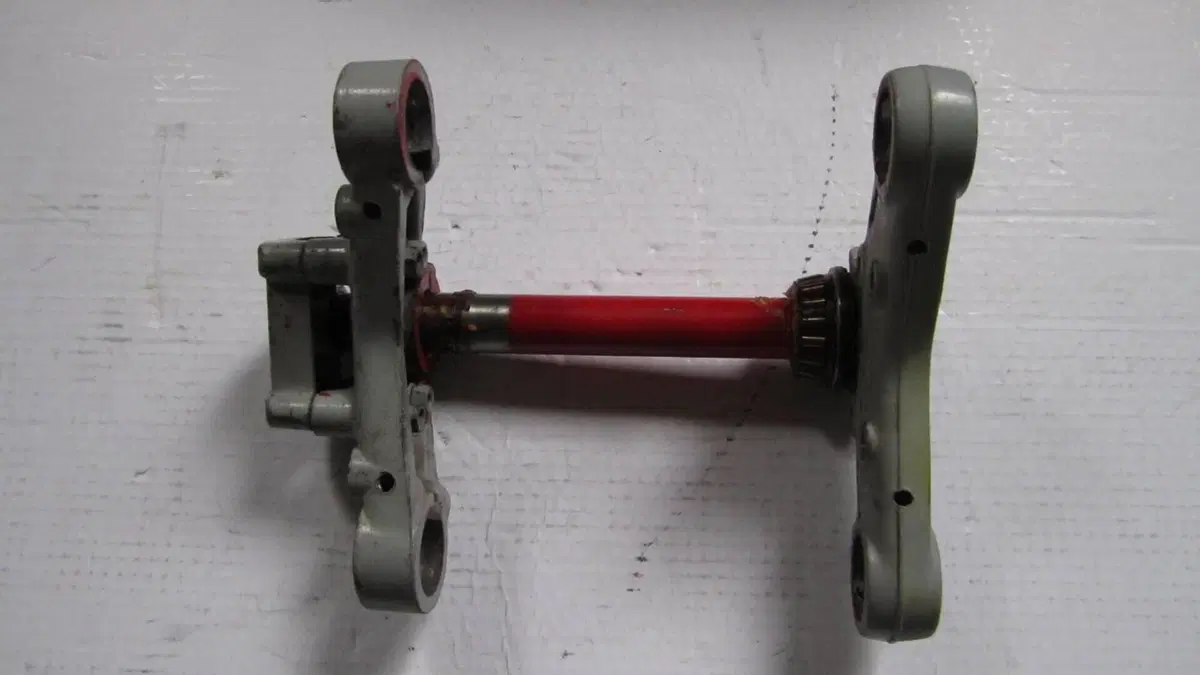 Betamotor   (9)