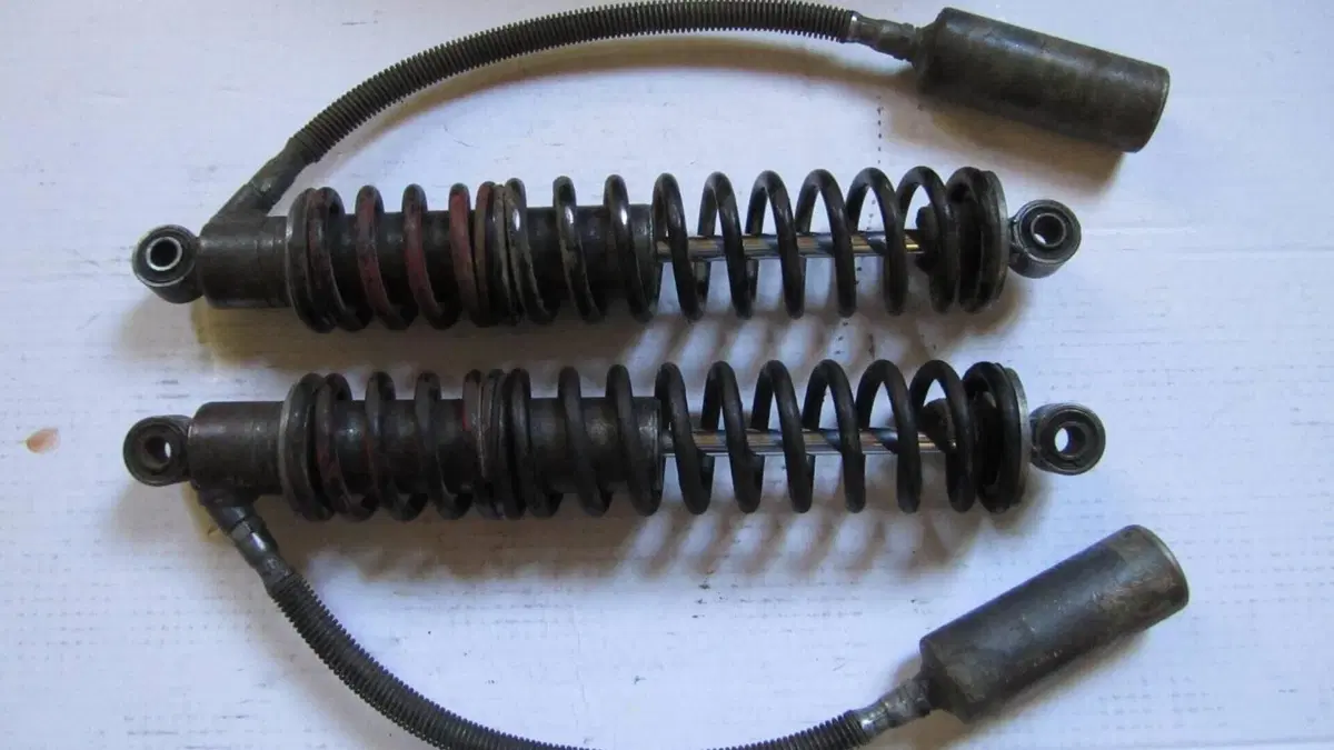 Betamotor   (12)