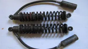 Betamotor   (12)