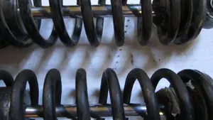 Betamotor   (13)
