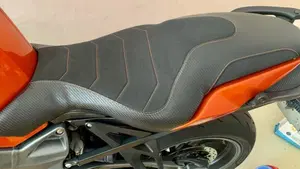 Bmw K 1300 R (2009 - 16)  (7)