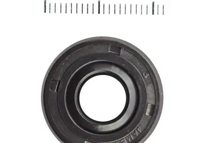 Paraolio dado frizione per FL e FX dal 1965 a iniz  - Annuncio 8560364