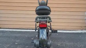 Piaggio   (4)