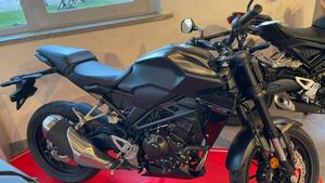 Honda CB 300 R (2022 - 25) 
