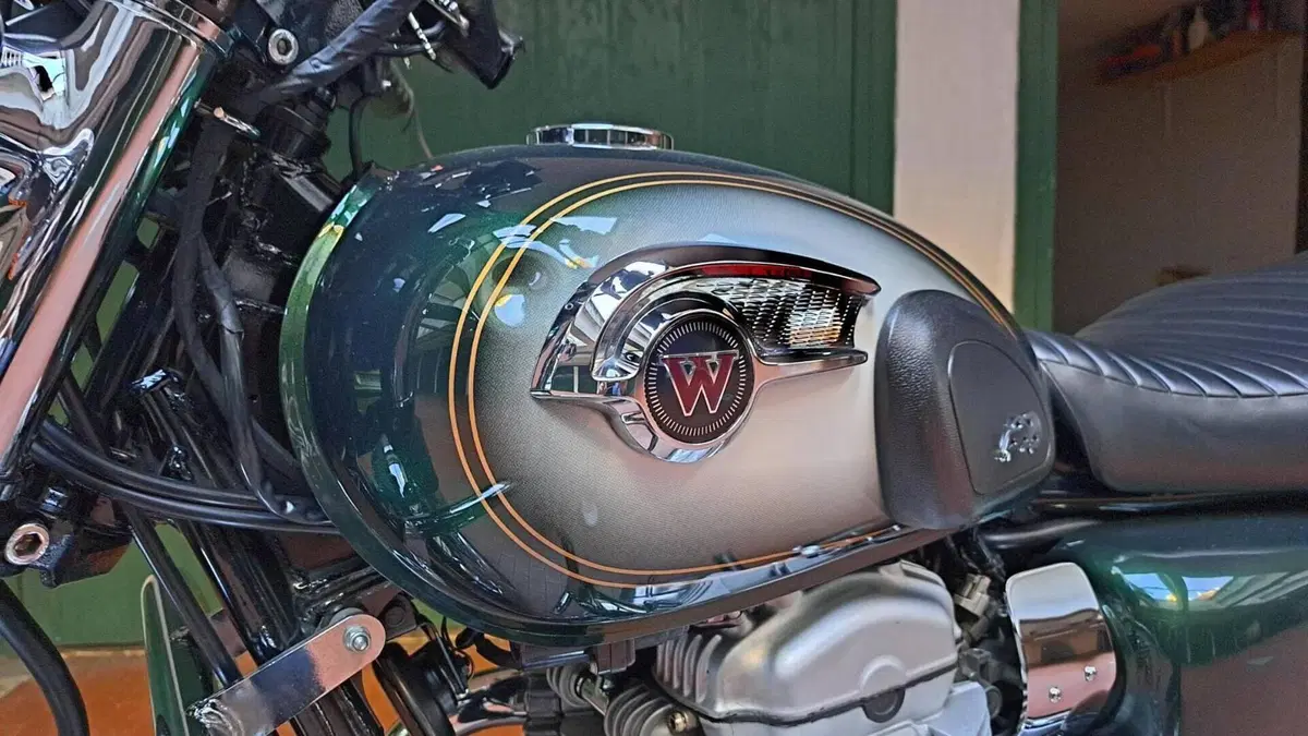 Kawasaki W 800 (2010 - 17)  (4)