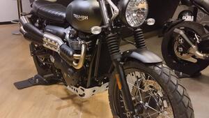 Triumph Scrambler 900 (2023 - 25)
