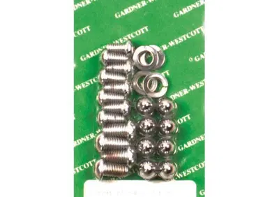 Viti montaggio parafango anteriore cromate per Spo  - Annuncio 8828831