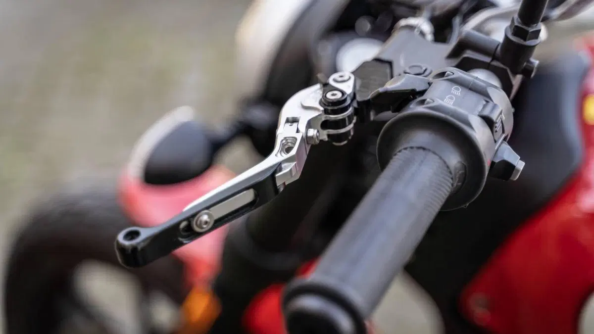 Ducati Scrambler 800 Icon (2017 - 20)  (3)