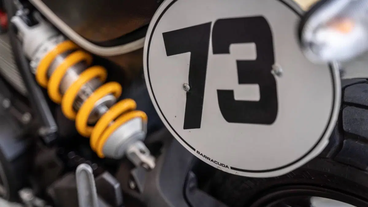 Ducati Scrambler 800 Icon (2017 - 20)  (5)