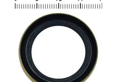 Paraolio cambio tra albero pignone e frizione per  - Annuncio 9034987