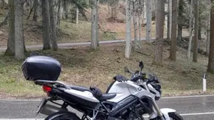 Bmw F 800 R (2015 - 16)  (7)