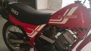 Morini   (7)
