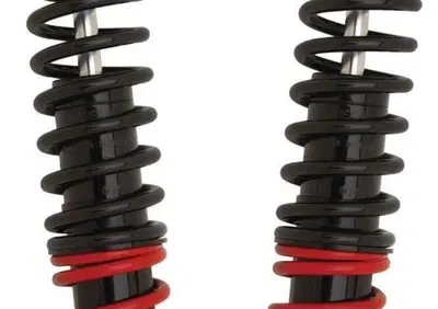 Ammortizzatori 15'' stiletto neri Burly per Sports  - Annuncio 8549185