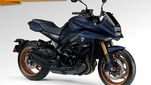 Suzuki Katana 1000 (2022 - 25) 