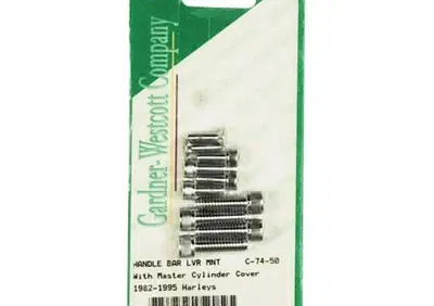 Kit viti comandi manubrio cromate brugola per FX,F  - Annuncio 8554480