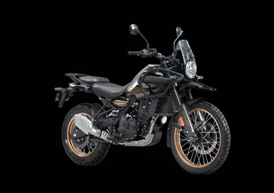 Royal Enfield Himalayan 450 (2024 - 26) - Annuncio 9354878