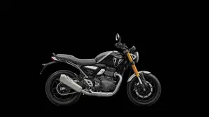 Triumph Speed 400 (2024 - 26)  (6)