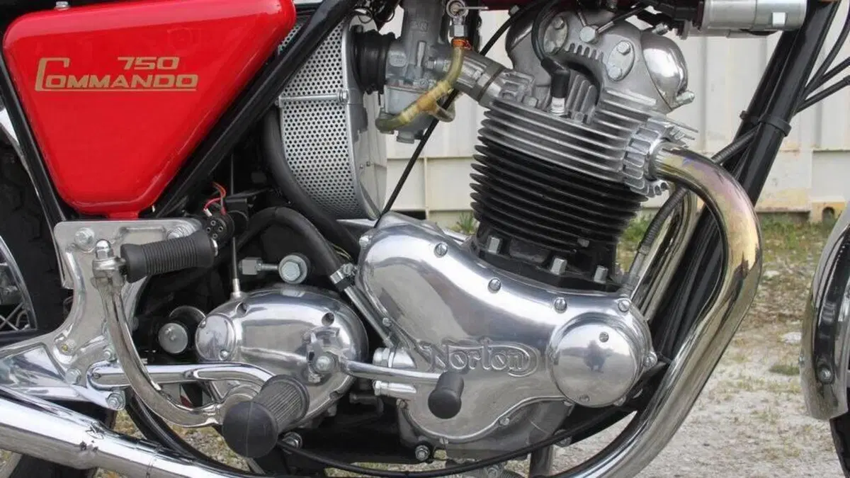 Norton   (5)