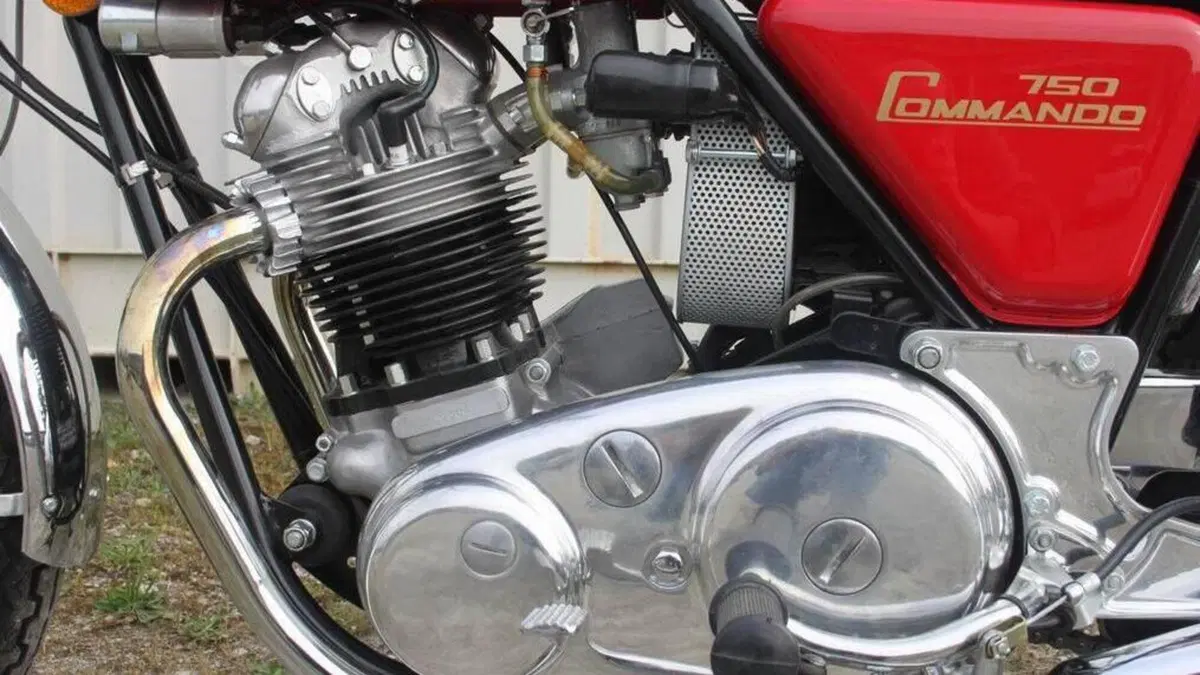 Norton   (6)