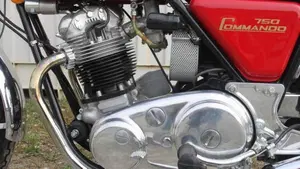 Norton   (6)