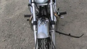 Norton   (10)