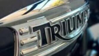 Triumph Bonneville T100 (2008 - 16) usata