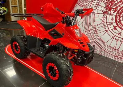  Altre moto o tipologie Quad - Annuncio 9360437
