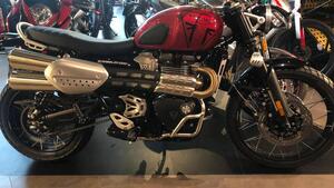Triumph Scrambler 1200 X (2024 - 25) 
