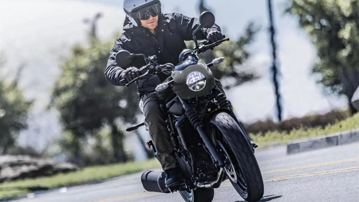 Kawasaki Eliminator 500 SE (2024 - 26)  (6)