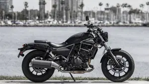 Kawasaki Eliminator 500 (2024 - 26)  (7)