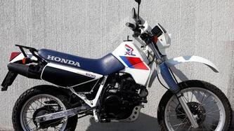 Honda XL 600 RM epoca