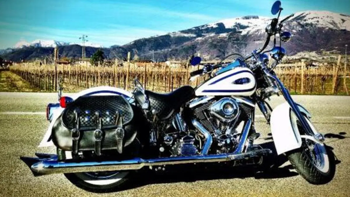 Harley-Davidson 1340 Heritage Springer (1997 - 99) - FLSTS  (2)