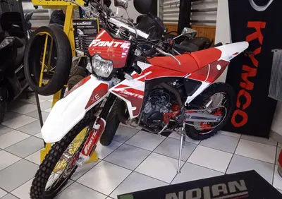 Fantic Motor XE 50 Performance (2023 - 24) - Annuncio 9370691