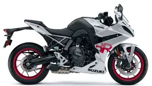 Suzuki GSX-8R (2024 - 26)  (7)