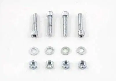 Viti montaggio parafango anteriore cromate per Dyn  - Annuncio 8828833