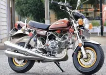 Una Honda Monkey che si traveste da Kawasaki