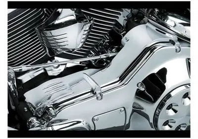 Copertura superiore carter primaria Kuryakyn croma  - Annuncio 9383119