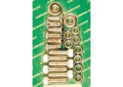 Viti montaggio parafango posteriore cromate per So  - Annuncio 8560314