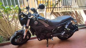 Benelli Leoncino 500 (2021 - 25) 
