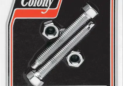 Coppia viti cromate per registro cinghia finale pe  - Annuncio 9330777