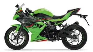 Kawasaki Ninja 125 (2021 - 24) 